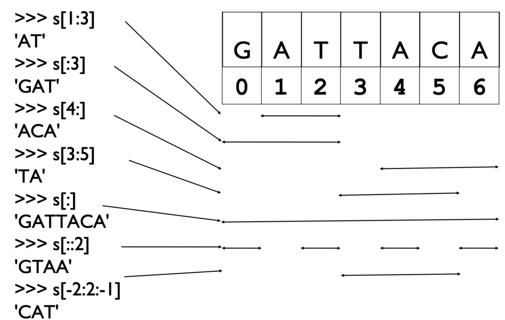 Py4Bio Chapter 1: Strings - Arafat Rahman