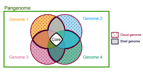 Microbial pan-genome analysis