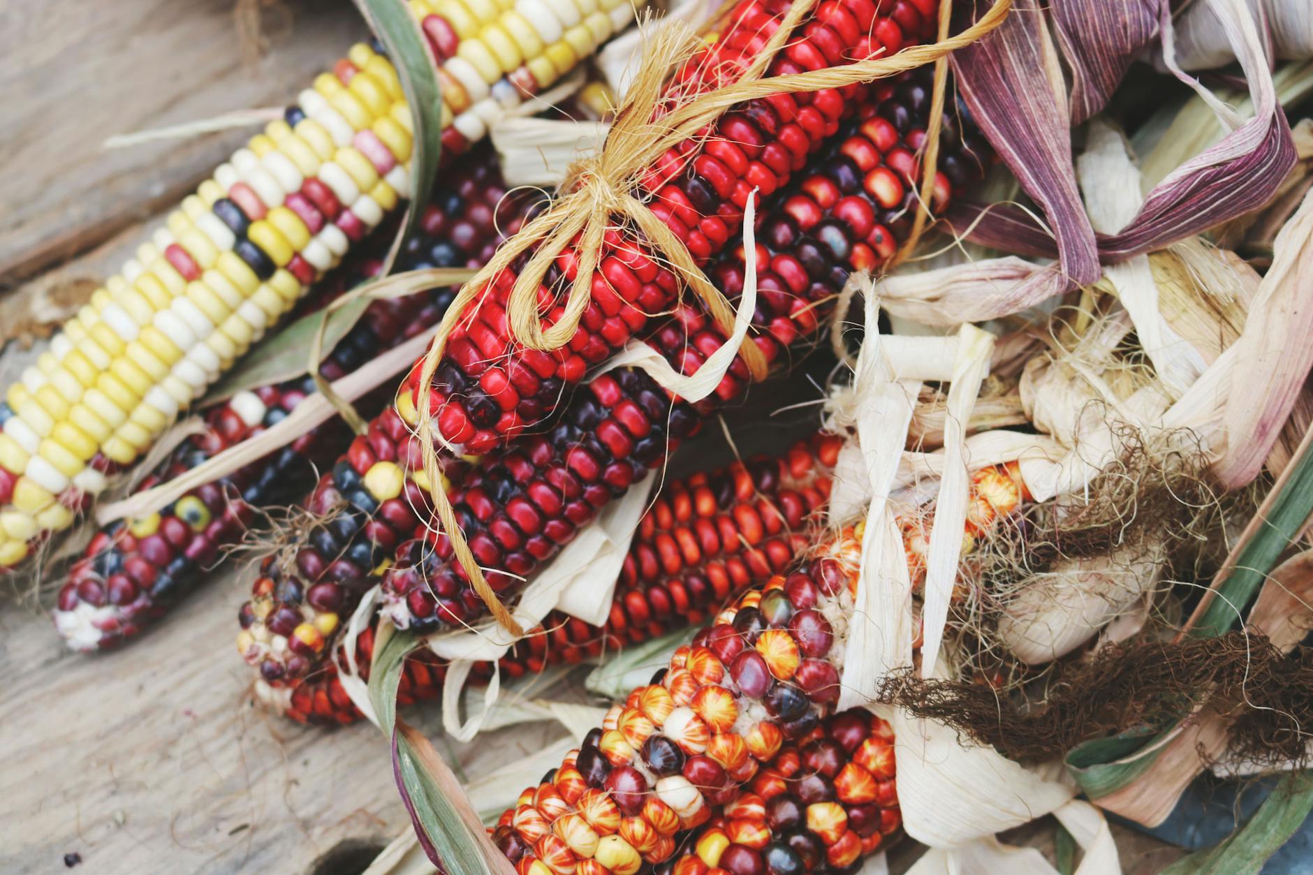red and black corn